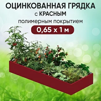 Грядка красная (0,65 х 1)